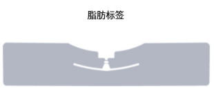RFID標(biāo)簽天線 5 BNRX